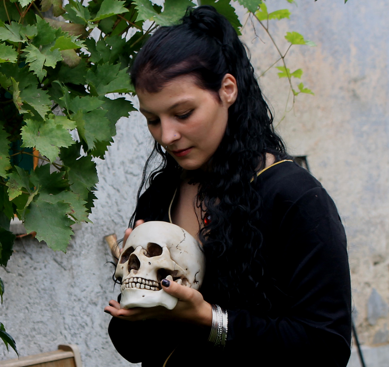 hexe arkania